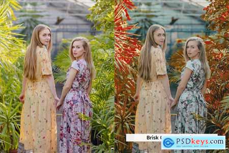 20 Alt Aero Lightroom Presets and LUTs