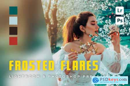 6 Frosted Flares Lightroom and Photoshop Presets