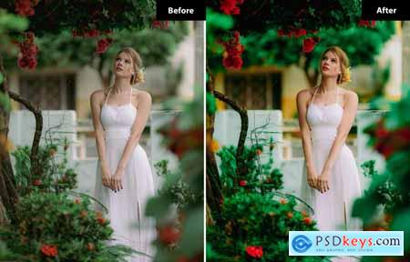 6 Color Splash Lightroom and Photoshop presets