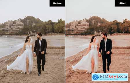 6 Elegant Wedding Lightroom and Photoshop Presets