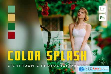 6 Color Splash Lightroom and Photoshop presets