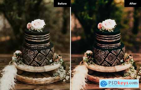 6 Rustic Wedding Lightroom and Photoshop Presets