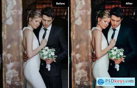 6 Elegant Wedding Lightroom and Photoshop Presets