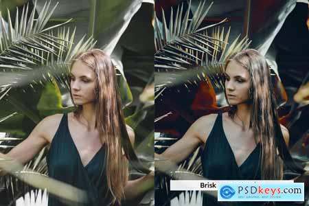 20 Alt Aero Lightroom Presets and LUTs