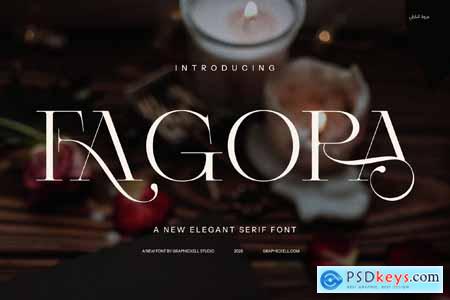 Fagora Calligraphy Serif Fonts