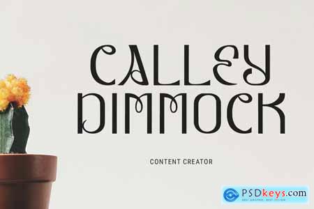 Lynoile Sans Serif Display Decorative Font