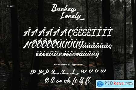 Backey Lonely  Elegant Script Font