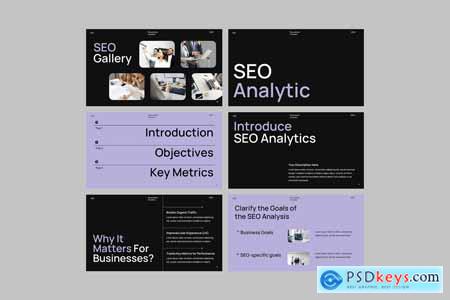 SEO Marketing Analytic