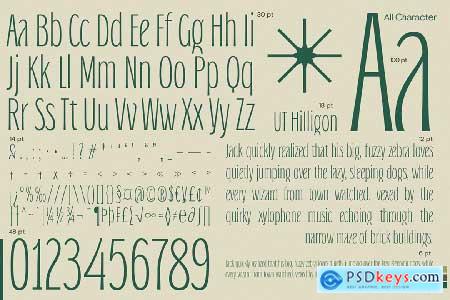 Hilligon - An Elegant Condensed Font