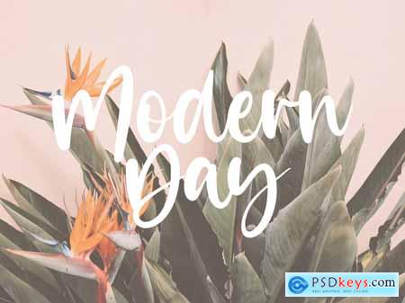 Misty Cotton - Modern Calligraphy Logo Font