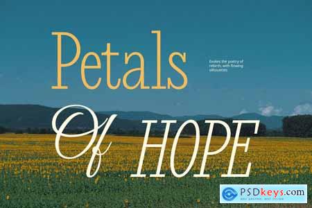 Somers  Condensed Font