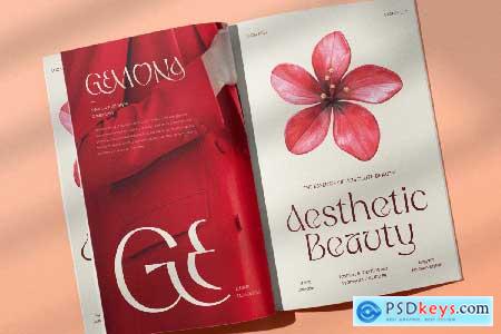 Romena - Feminine Luxury Serif Font