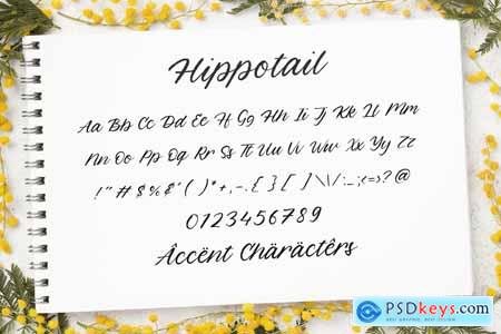 Hippotail - Beautiful Handwritten Logo Font