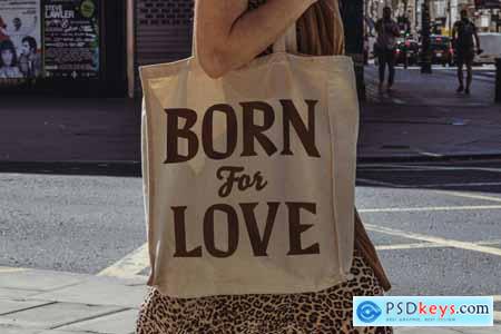 Sherin  Bold Font
