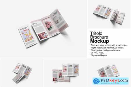 Trifold Brochure Mockup