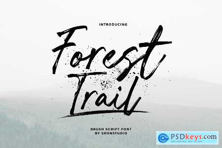 Forest Trail - Brush Script Font