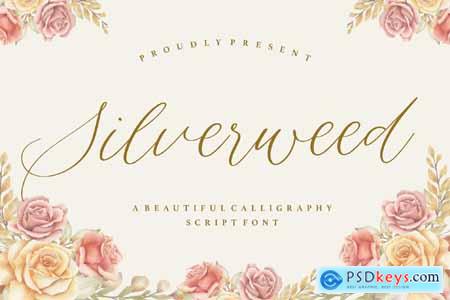 Silverweed - Beautiful Calligraphy Logo Font