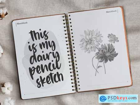 Silver Midnight - Modern Handwritten Logo Font