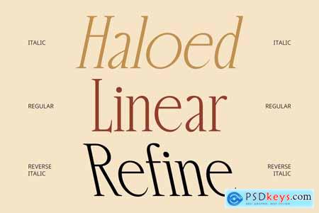 Arquis  Condensed Font