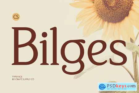 Bilges  Classic Font