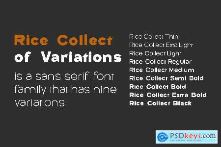 Rice Collect Family Font Sans Serif