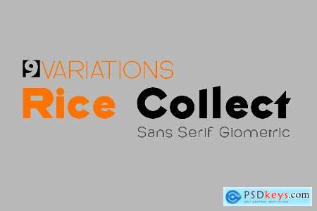 Rice Collect Family Font Sans Serif