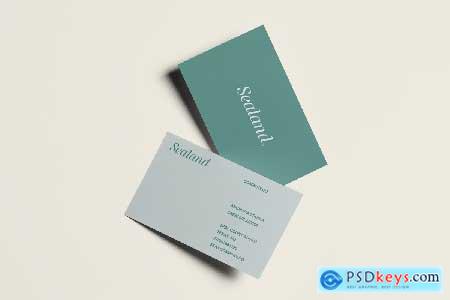 Aylia - Modern Luxury Serif