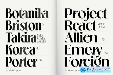 Loubrisa - Modern Branding Font