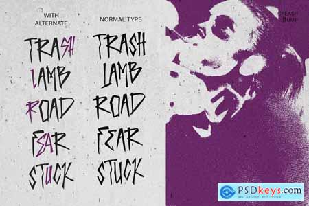Creash Dump Handwritten Brush Font