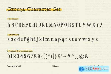 Gzonga - Quirky Retro Serif