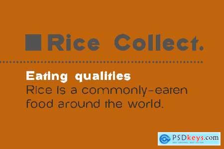 Rice Collect Family Font Sans Serif