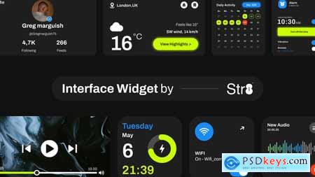 Interface Widget 58291255