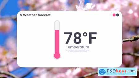 Weather Thermometer 58423704