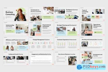 Consulting Business