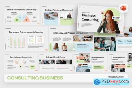 Consulting Business