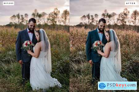 Classy Wedding Lightroom Presets & LUT Pack