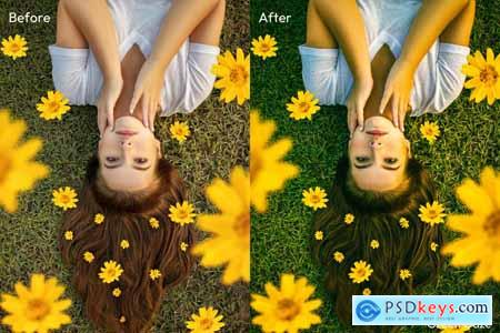 Analog Film Lightroom Presets