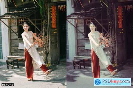 AI-Optimized Vintage Vibes Lightroom Presets