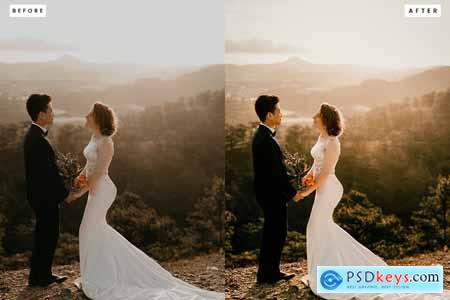 Classy Wedding Lightroom Presets & LUT Pack