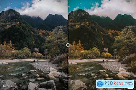 Polaroid Look - Actions and presets