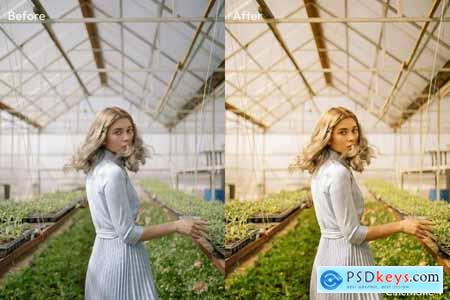 Cinematic Lightroom Presets