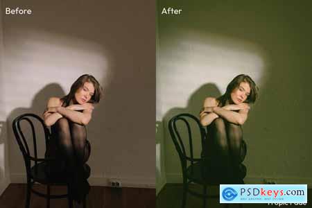 Disposable Lightroom Presets