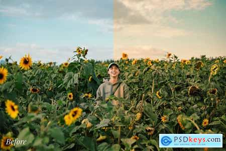 Warm Lightroom Presets - STBRN