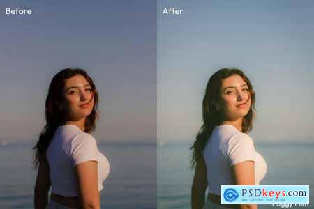 Disposable Lightroom Presets