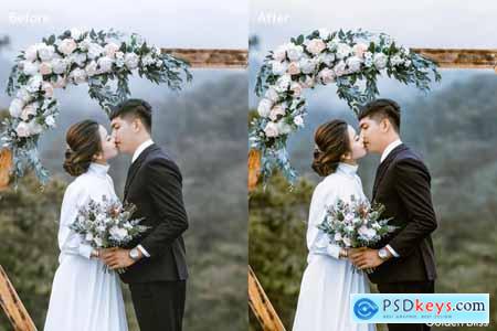 Wedding Lightroom Presets