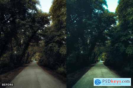 AI-Optimized Moody Cinematic Road Lightroom Preset