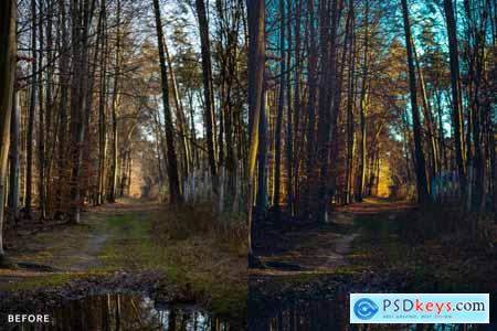 AI-Optimized Moody Cinematic Road Lightroom Preset