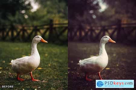 AI-Optimized Vintage Vibes Lightroom Presets