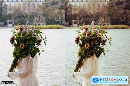 AI-Optimized Old Cinematic Film Lightroom Presets