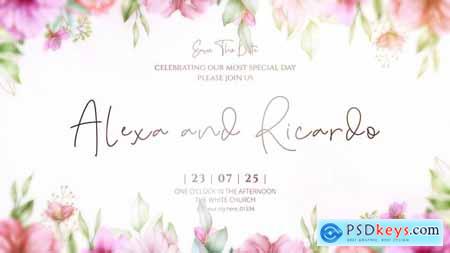 Wedding Intro 58671766